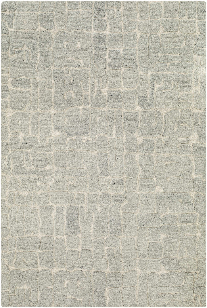 Posof Contemporary Abstract Gray Area Rug - The Rug Decor