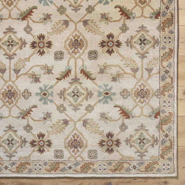 Postelle Traditional Floral Design Beige Hand Tufted Wool Area Rug - The Rug Decor