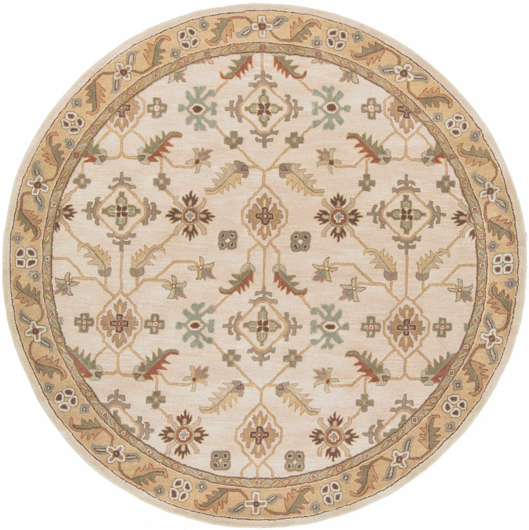 Postelle Traditional Floral Design Beige Hand Tufted Wool Area Rug - The Rug Decor