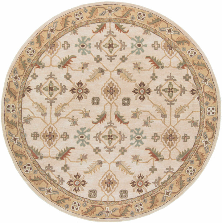 Postelle Traditional Floral Design Beige Hand Tufted Wool Area Rug - The Rug Decor