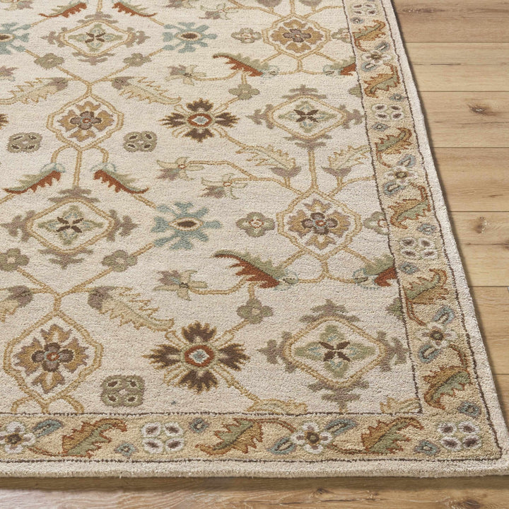 Postelle Traditional Floral Design Beige Hand Tufted Wool Area Rug - The Rug Decor