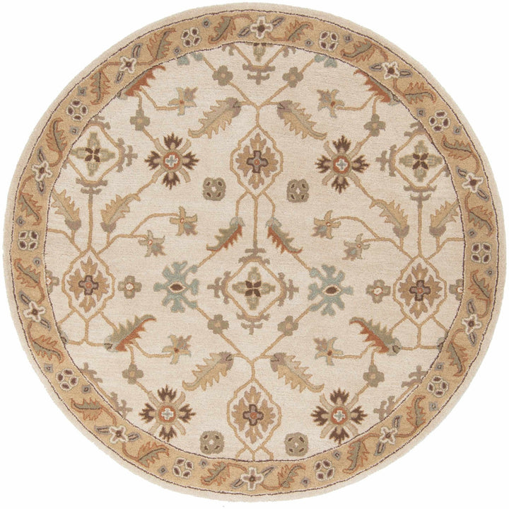 Postelle Traditional Floral Design Beige Hand Tufted Wool Area Rug - The Rug Decor