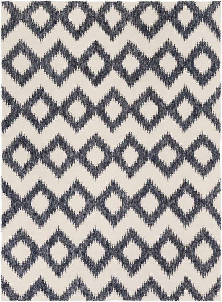 Prairie Contemporary Geometrical Black And Ivory Hand Woven Area Rug - The Rug Decor