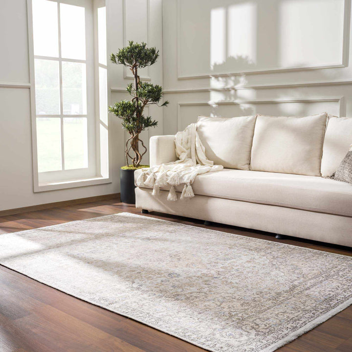 Premium Antique style Ivory, Beige and Brown Traditional Medallion Washable Area Rug - The Rug Decor