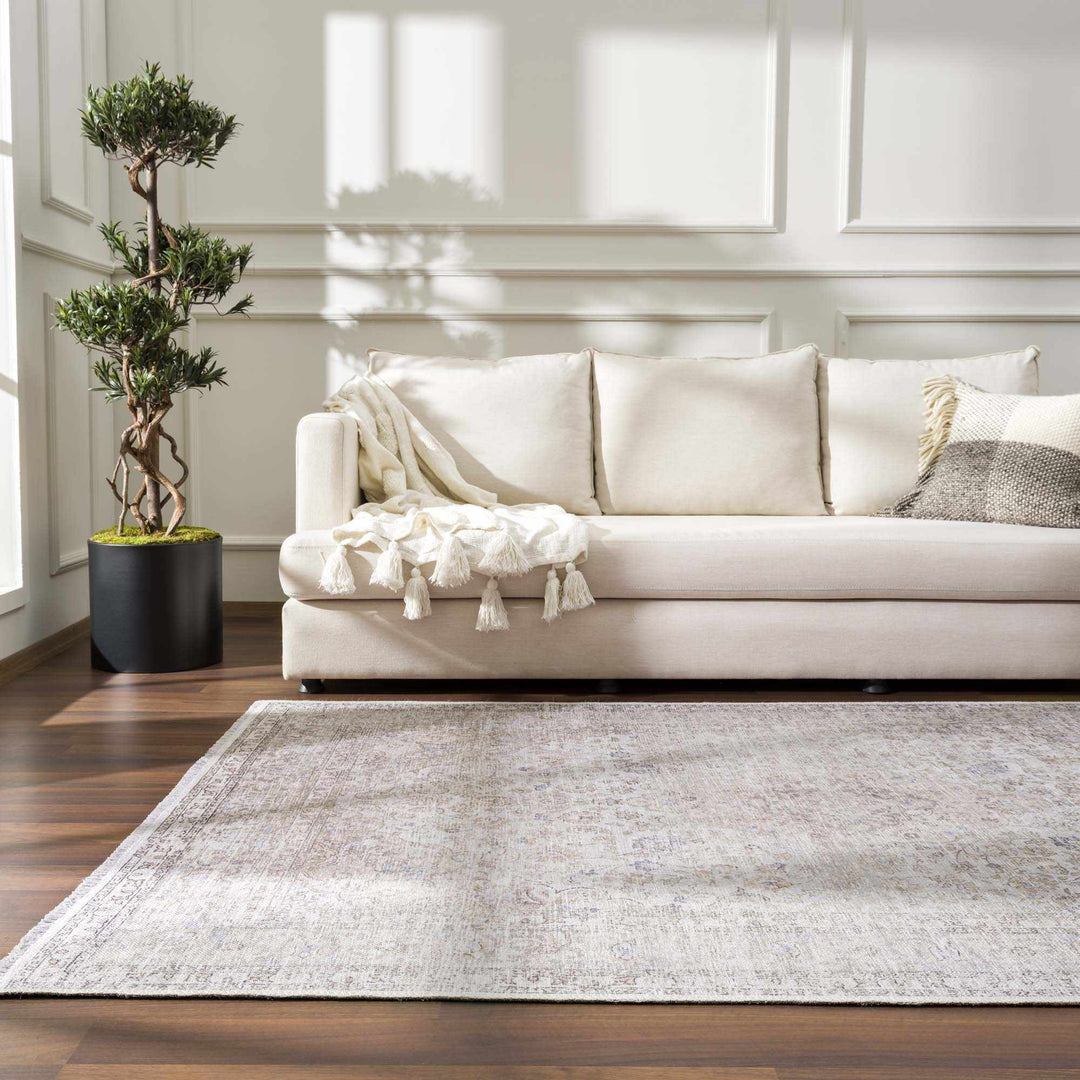 Premium Antique style Ivory, Beige and Brown Traditional Medallion Washable Area Rug - The Rug Decor