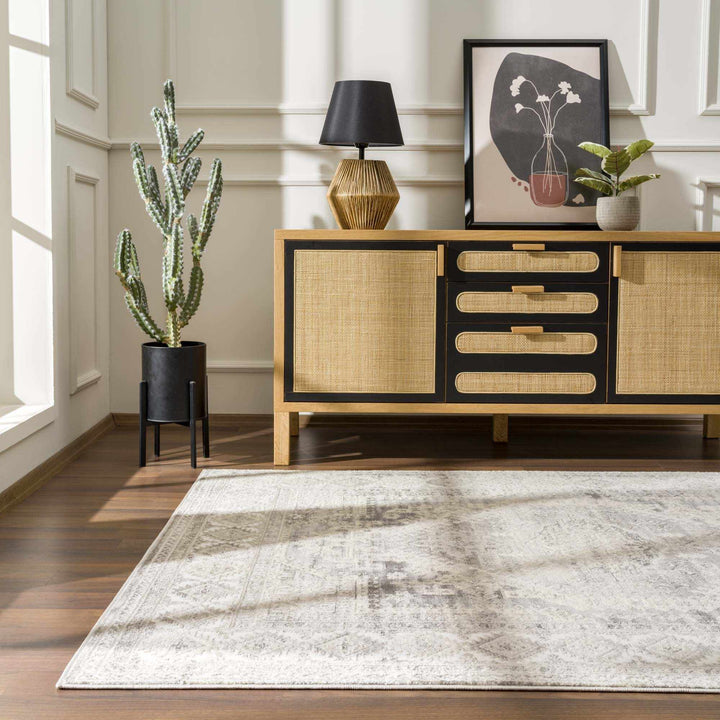Premium look Beige, Gray and Taupe Traditional Heriz Medallion area rug - The Rug Decor