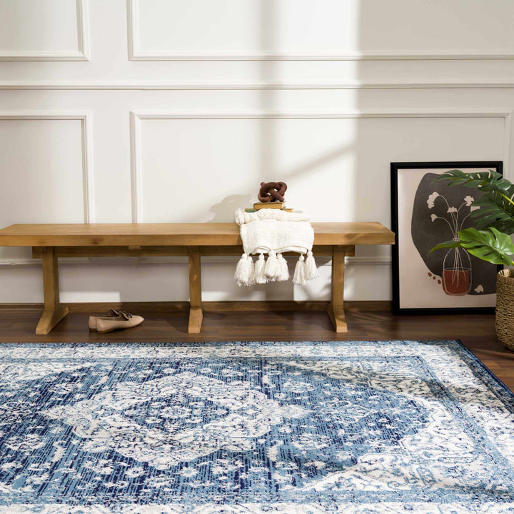 Premium look Blue and ivory Traditional Medallion Area Rug - The Rug Decor