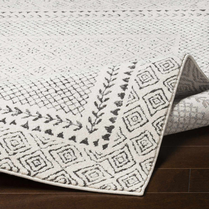 Premium modern geometrical Ivory and Charcoal Multi size area Rug - The Rug Decor