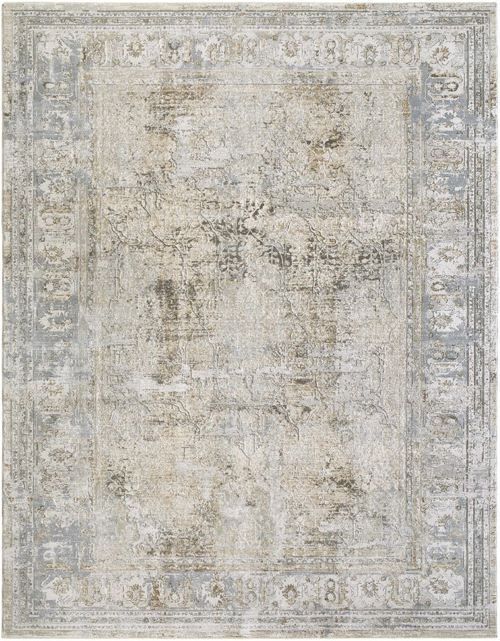 Pryce Traditional Style Beige And Gray Area Rug - The Rug Decor