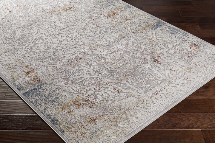 Petersburgh Gray Traditional Style Area Rug