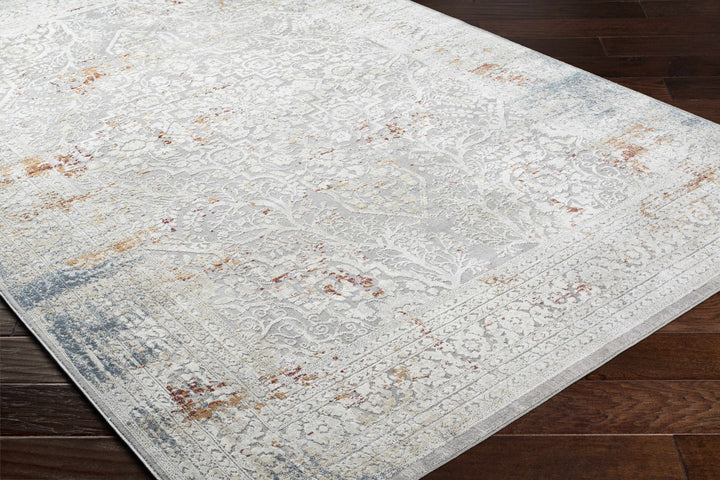 Petersburgh Gray Traditional Style Area Rug