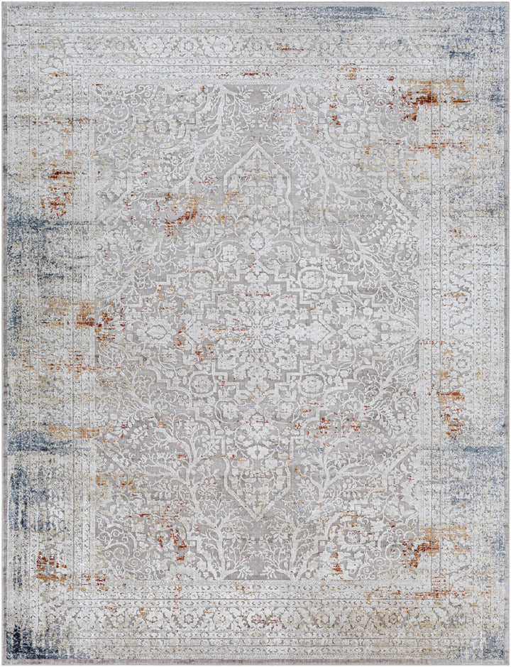 Petersburgh Gray Traditional Style Area Rug
