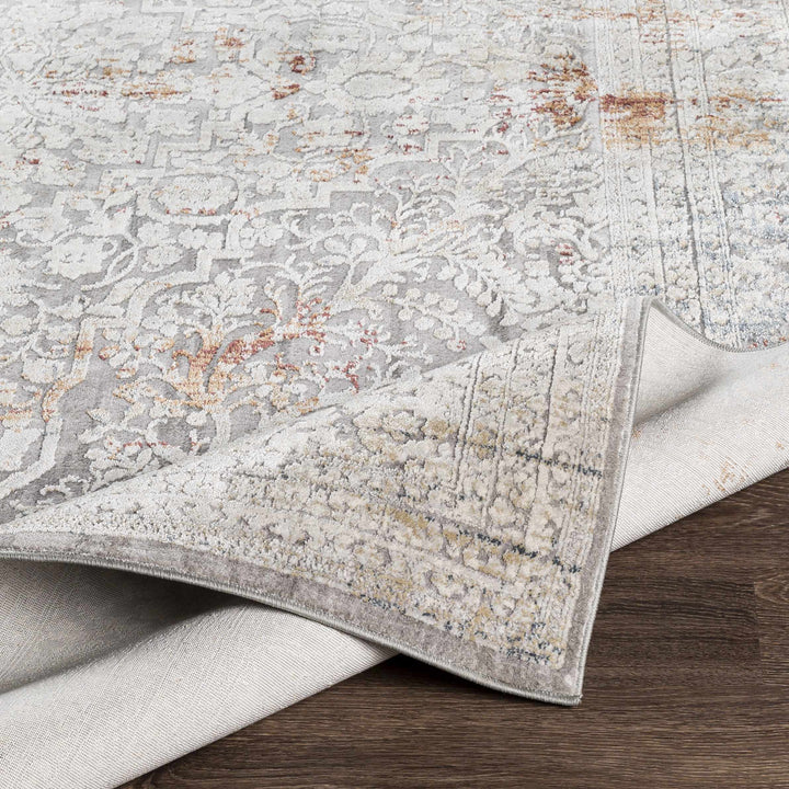 Petersburgh Gray Traditional Style Area Rug