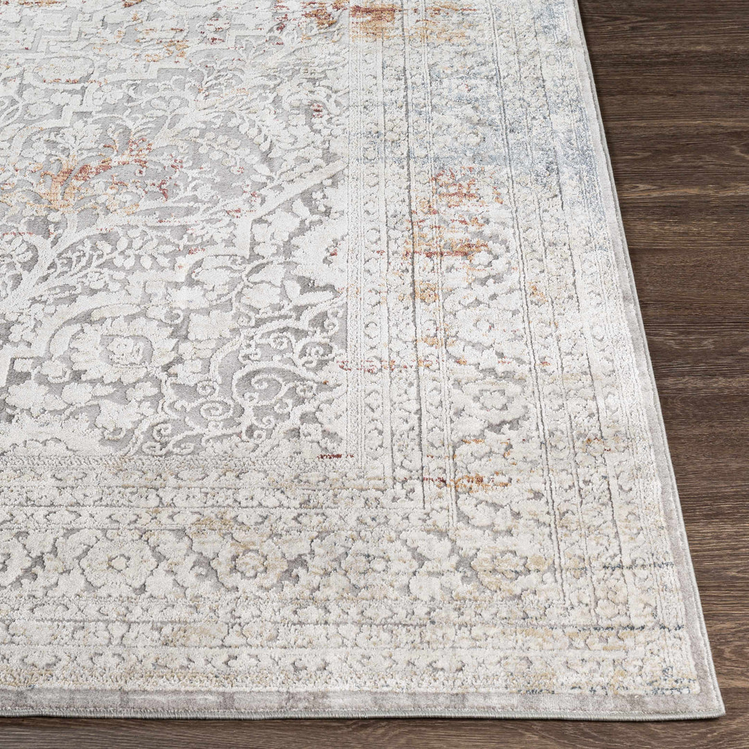 Petersburgh Gray Traditional Style Area Rug