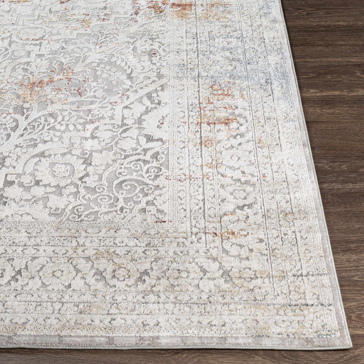 Petersburgh Gray Traditional Style Area Rug