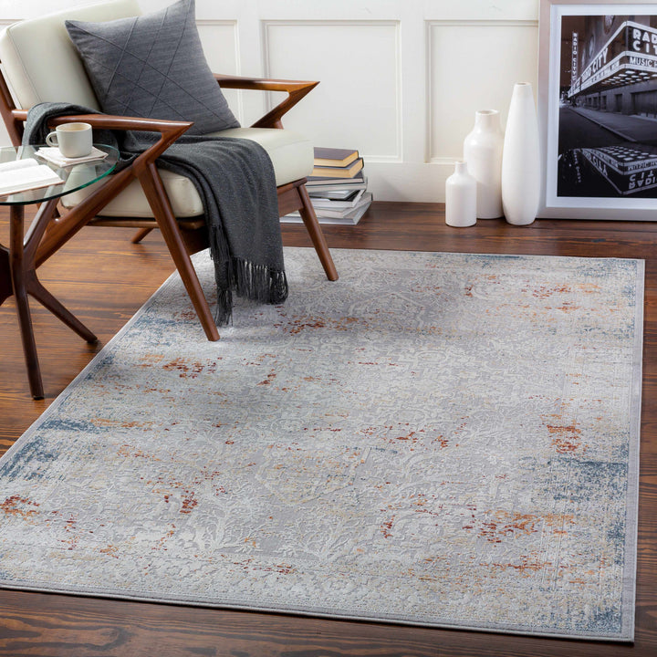 Petersburgh Gray Traditional Style Area Rug