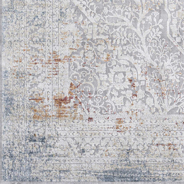 Petersburgh Gray Traditional Style Area Rug