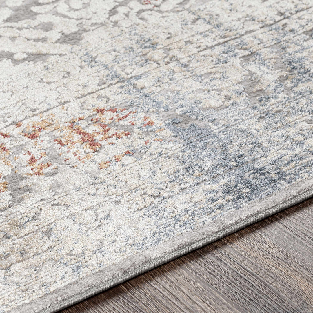 Petersburgh Gray Traditional Style Area Rug
