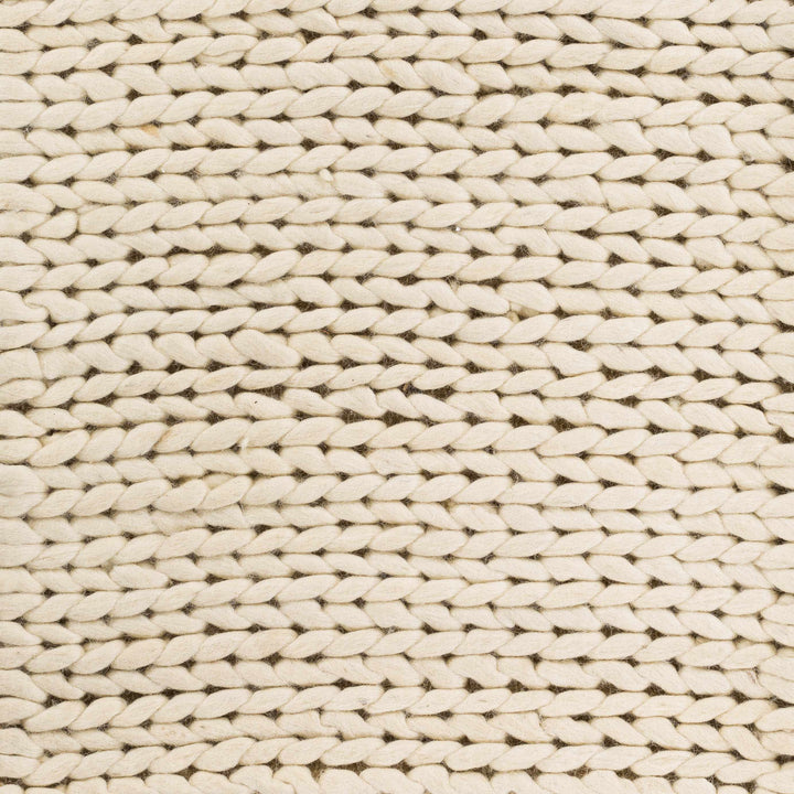 Petersfield Contemporary Style Beige Hand Woven Area Rug