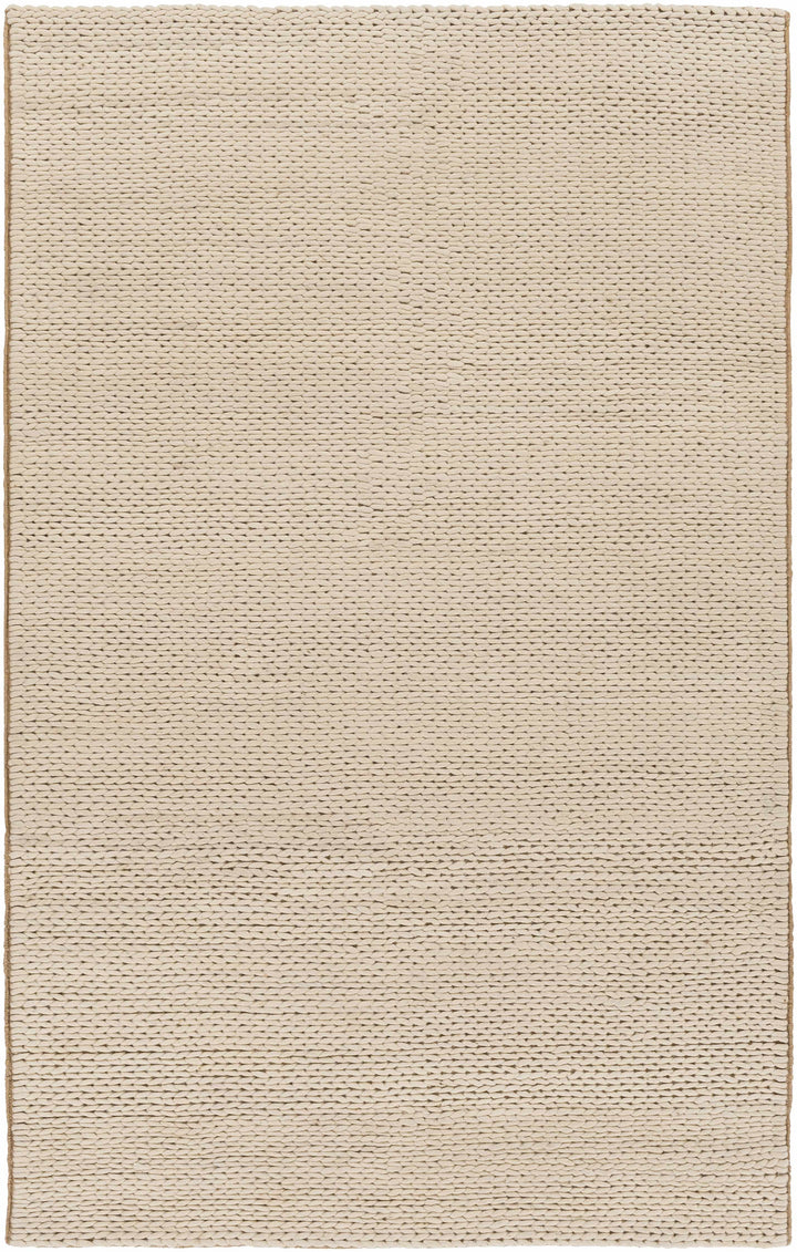 Petersfield Contemporary Style Beige Hand Woven Area Rug