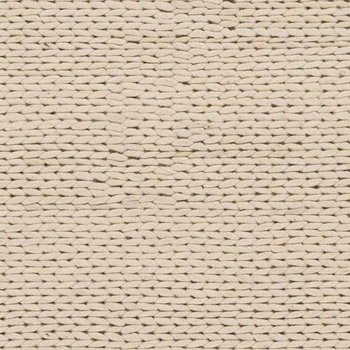 Petersfield Contemporary Style Beige Hand Woven Area Rug