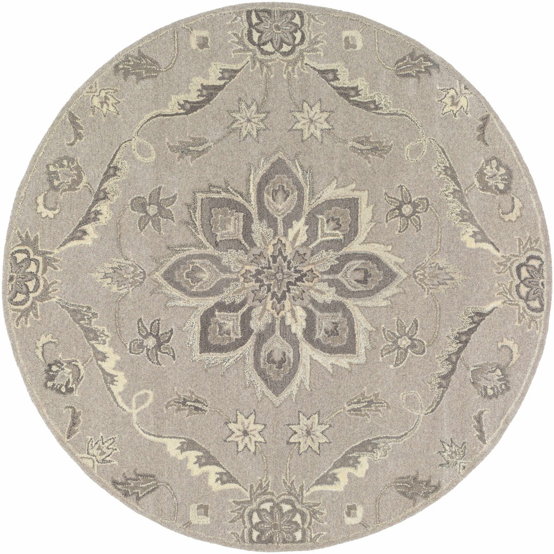 Peterstown Traditional Medallion Beige And Gray Wool Rug