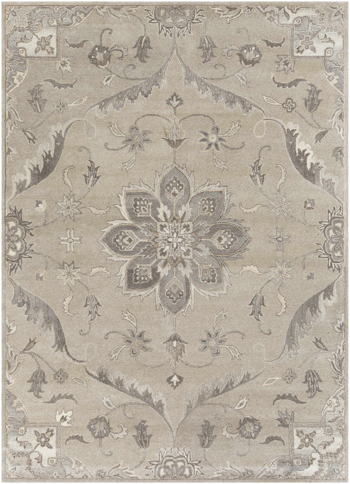Peterstown Traditional Medallion Beige And Gray Wool Rug