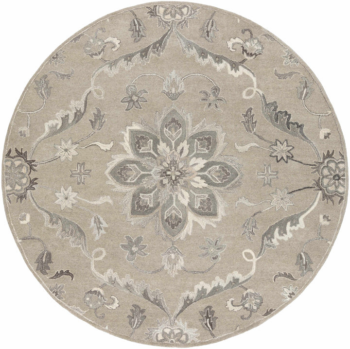 Peterstown Traditional Medallion Beige And Gray Wool Rug