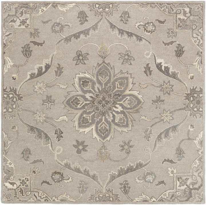 Peterstown Traditional Medallion Beige And Gray Wool Rug
