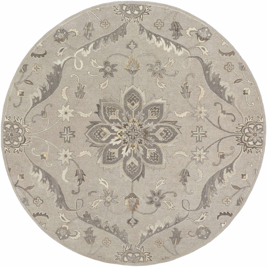 Peterstown Traditional Medallion Beige And Gray Wool Rug