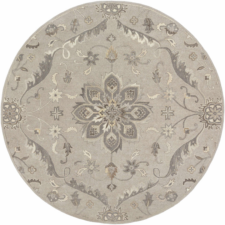 Peterstown Traditional Medallion Beige And Gray Wool Rug