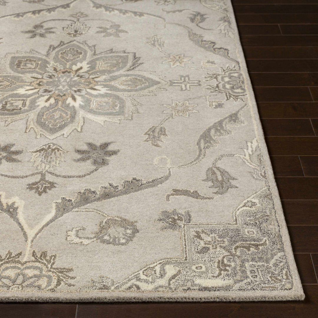 Peterstown Traditional Medallion Beige And Gray Wool Rug