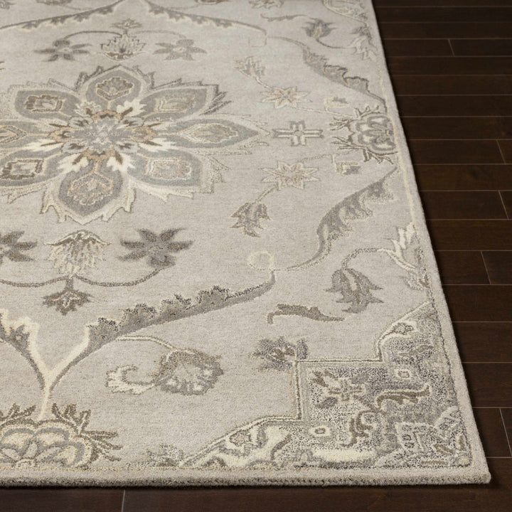 Peterstown Traditional Medallion Beige And Gray Wool Rug