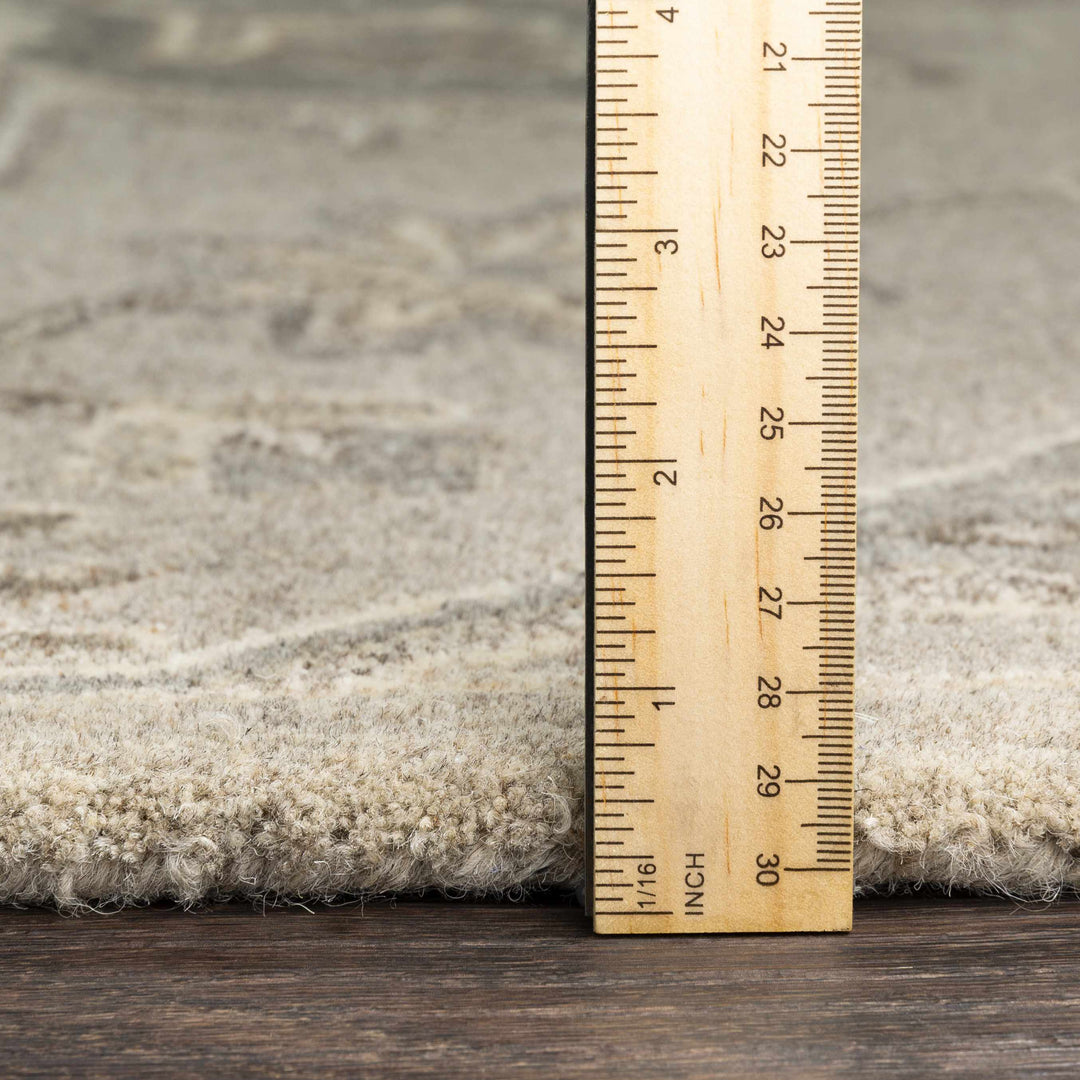 Peterstown Traditional Medallion Beige And Gray Wool Rug