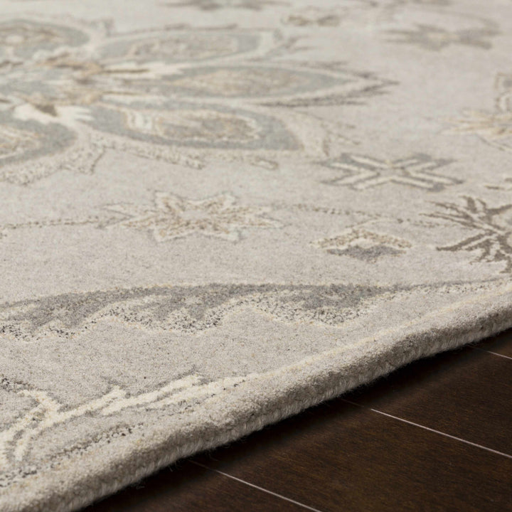 Peterstown Traditional Medallion Beige And Gray Wool Rug
