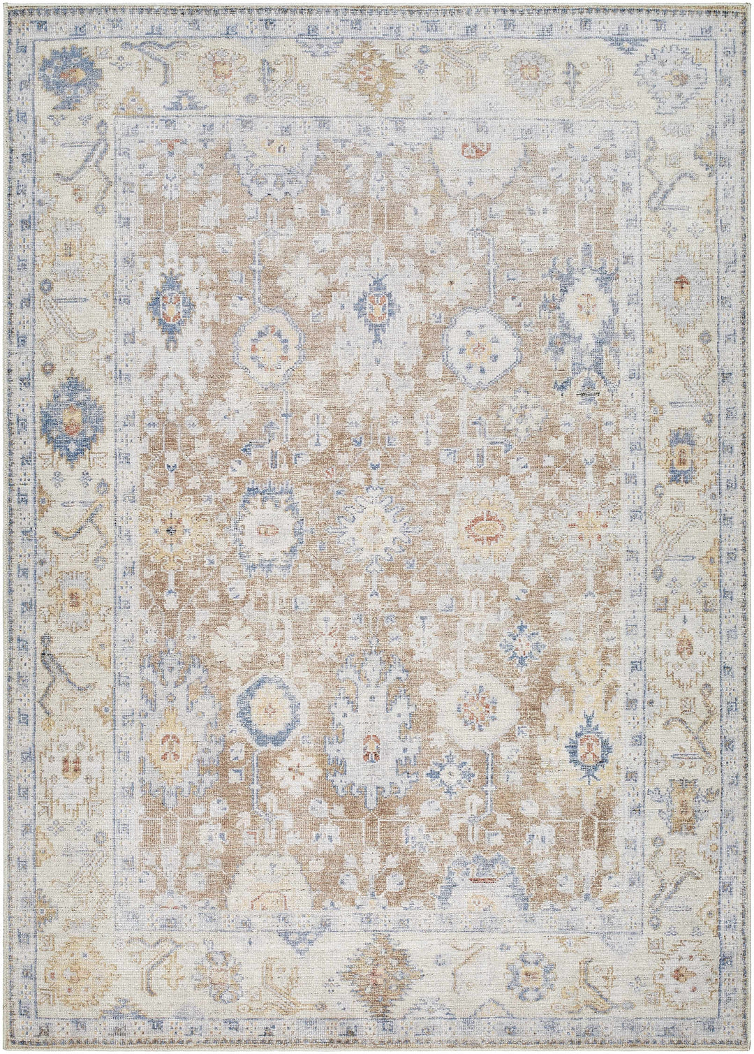 Widad Traditional Style Beige And Brown Area Rug