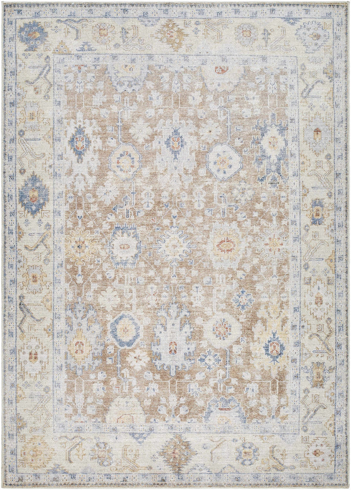 Widad Traditional Style Beige And Brown Area Rug