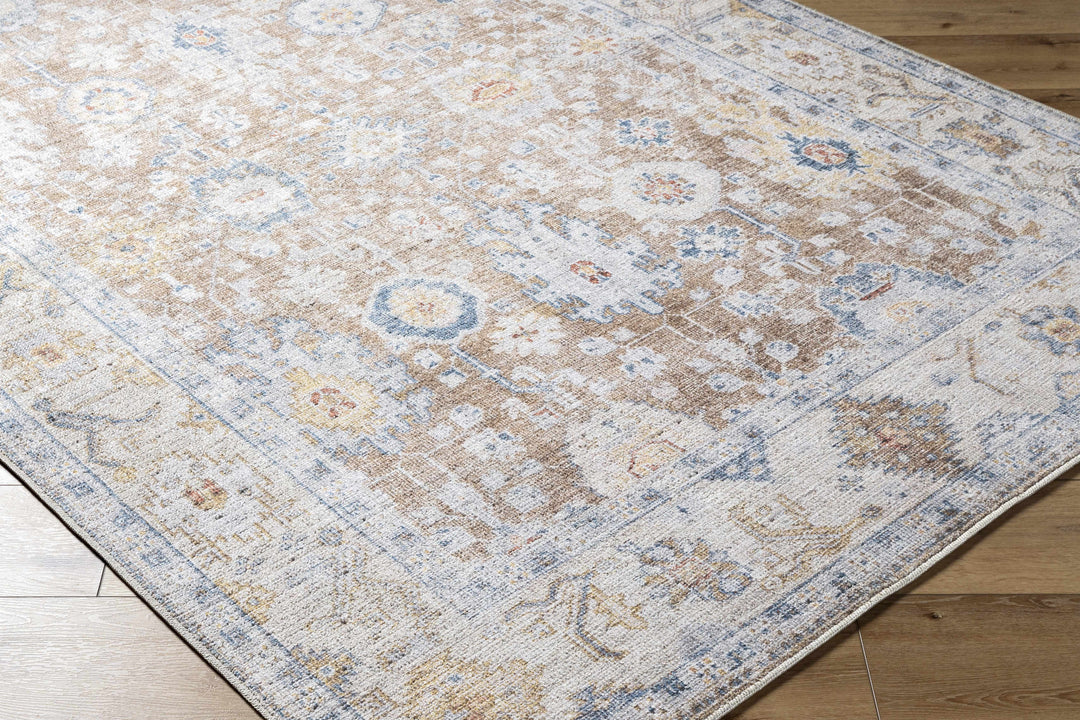 Widad Traditional Style Beige And Brown Area Rug