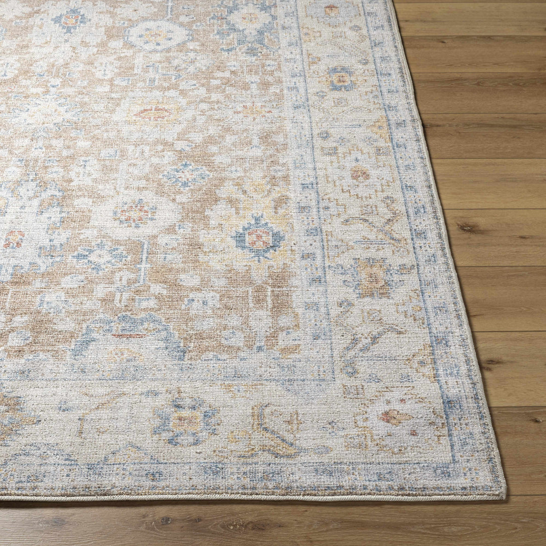 Widad Traditional Style Beige And Brown Area Rug