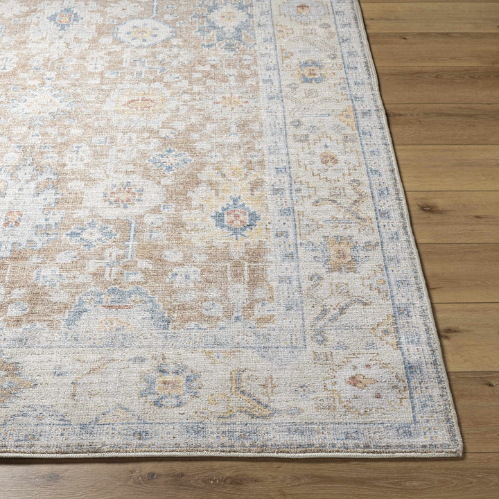 Widad Traditional Style Beige And Brown Area Rug
