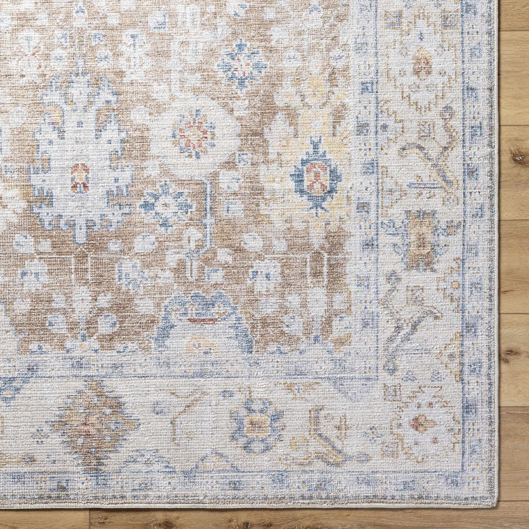 Widad Traditional Style Beige And Brown Area Rug