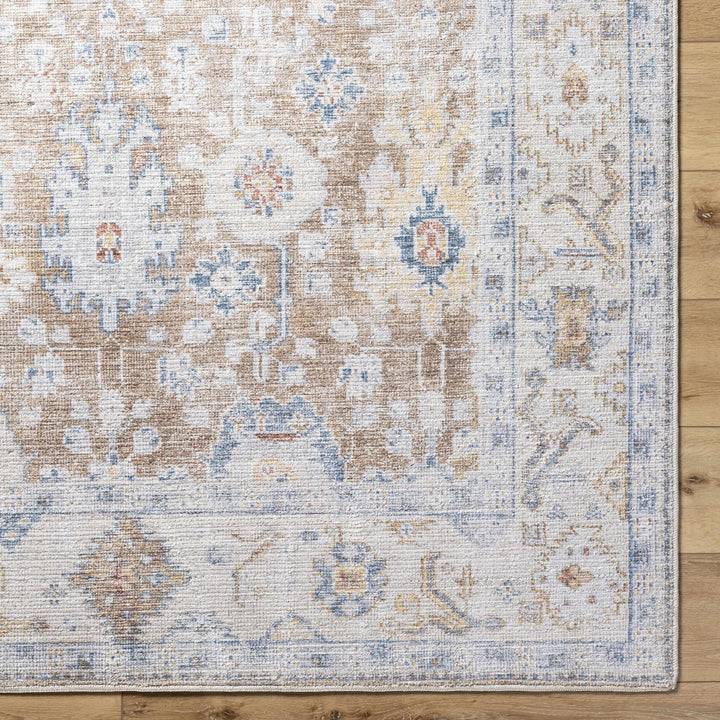Widad Traditional Style Beige And Brown Area Rug