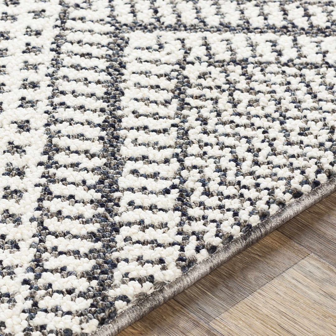 Queanbeyan Ivory And Gray Modern Style Area Rug
