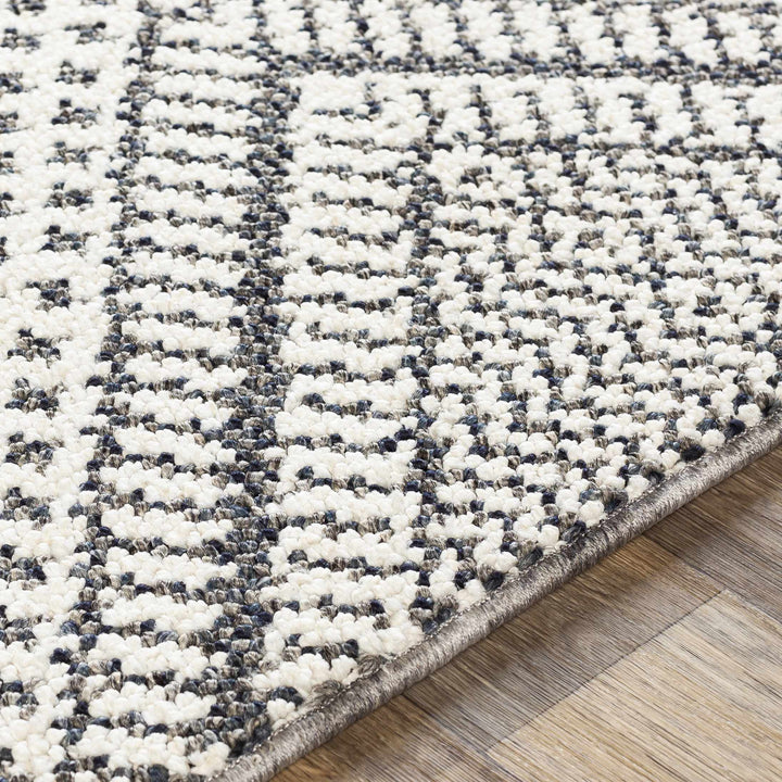 Queanbeyan Ivory And Gray Modern Style Area Rug