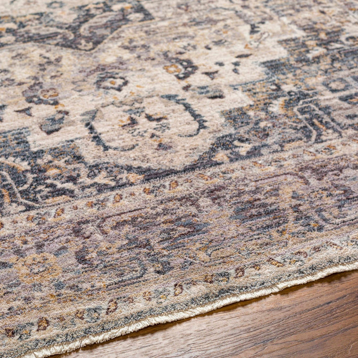 Rada Transitional Beige And Gray Area Rug - The Rug Decor