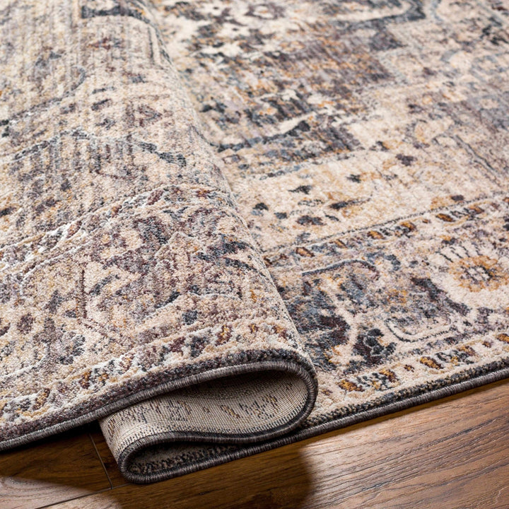 Rada Transitional Beige And Gray Area Rug - The Rug Decor