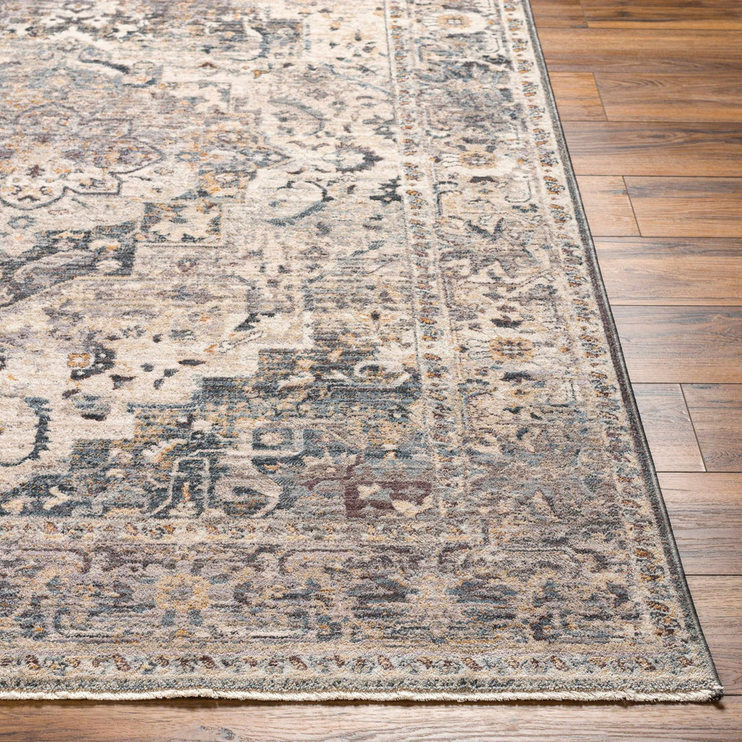 Rada Transitional Beige And Gray Area Rug - The Rug Decor