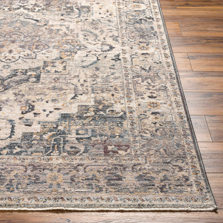 Rada Transitional Beige And Gray Area Rug - The Rug Decor