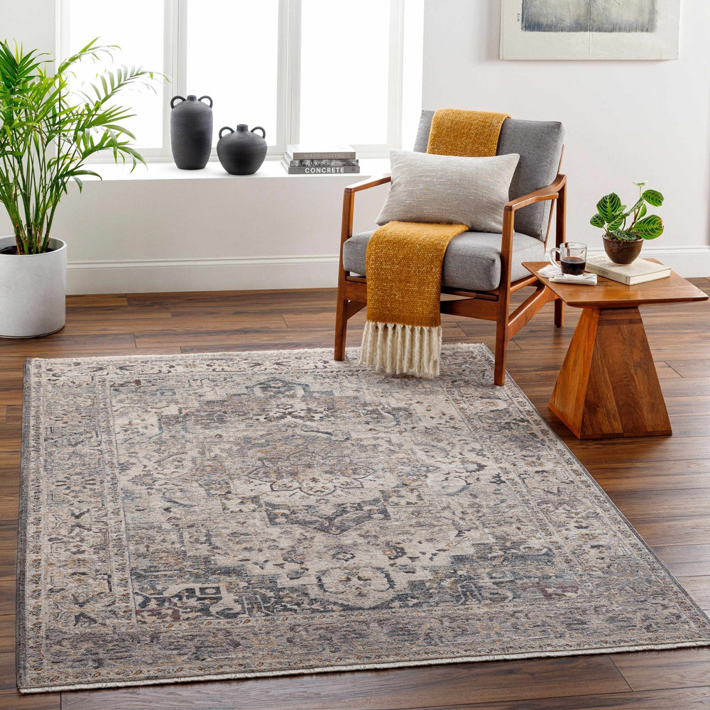 Rada Transitional Beige And Gray Area Rug - The Rug Decor