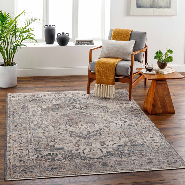 Rada Transitional Beige And Gray Area Rug - The Rug Decor